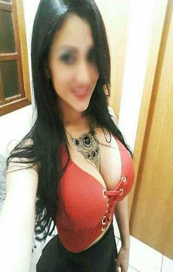Housewife Escorts Service South Extension