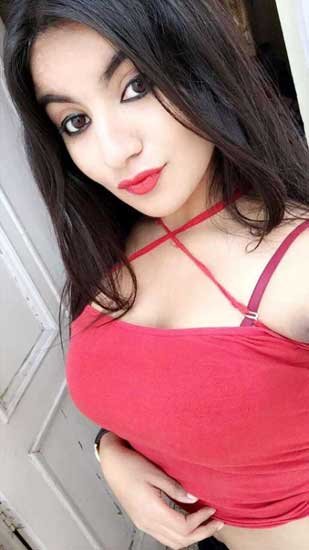 Working Escort RK Puram